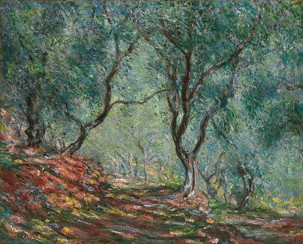 Monet, Claude Monet, Claude - Obrazová reprodukce Olive Trees in the Moreno Garden, 1884, (40 x 35 cm)