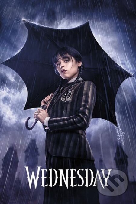 Plagát The Netflix - Wednesday: Umbrella