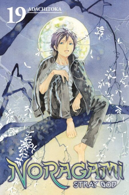 Noragami Volume 19 - Adachitoka