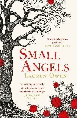 Small Angels: 'A twisting gothic tale of darkness, intrigue, heartbreak and revenge' Jennifer Saint - Lauren Owen