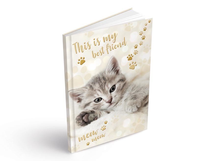 MFP 7501417 Záznamová kniha A6 100l/linka ZL6104