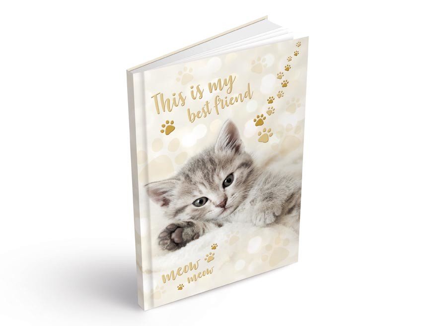 MFP 7501383 Záznamová kniha A4 100l/linka ZL4104