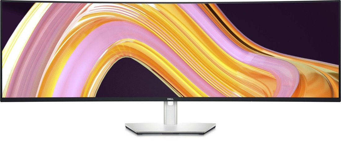 Dell UltraSharp U4924DW - LED monitor 49