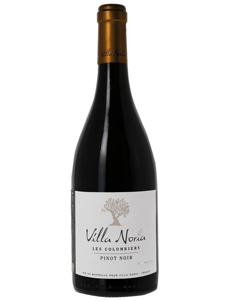 BIO Pinot Noir Les Colombiers 2019, Villa Noria, Pays dOc