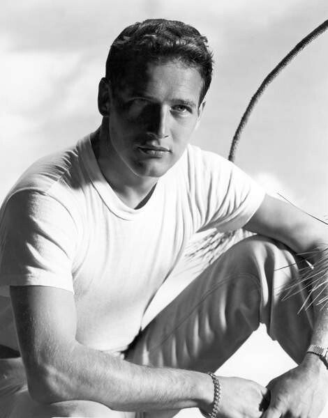 BRIDGEMAN IMAGES Umělecká fotografie Paul Newman In The 50'S, (30 x 40 cm)