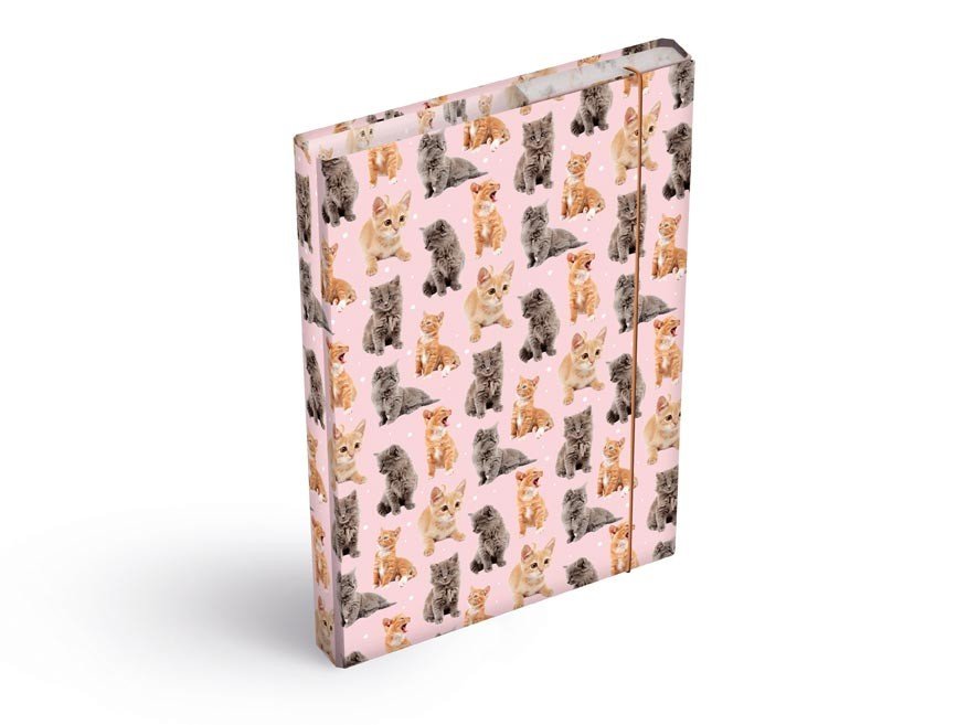 MFP 8021031 Desky na sešity box A5 Kočky