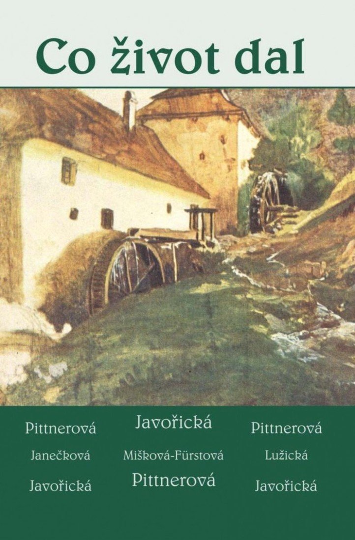 Co život dal - Soubor povídek - Vlasta Javořická