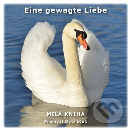 Eine gewagte Liebe - Přemysl Dvořáček