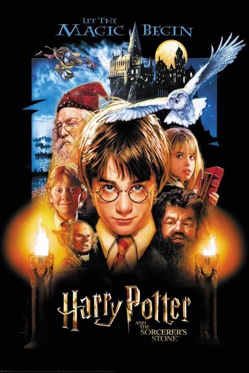 POSTERS Plakát, Obraz - Harry Potter - Philosopher Stone, (80 x 120 cm)