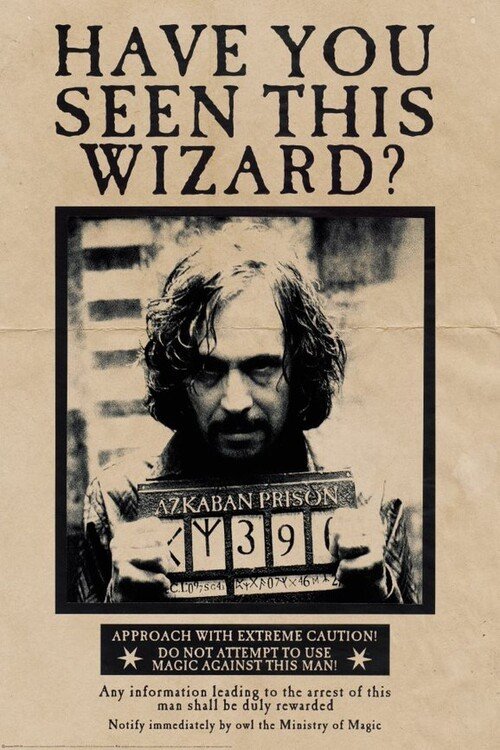 POSTERS Plakát, Obraz - Harry Potter - Wanted Sirius Black, (80 x 120 cm)