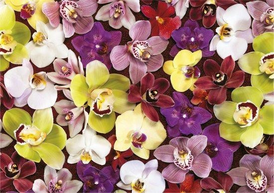 EDUCA Puzzle Koláž z orchidejí 1000 dílků