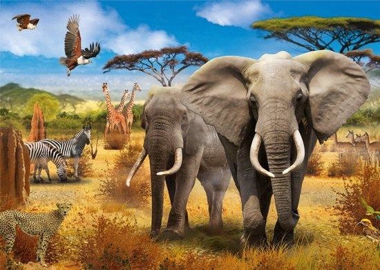 JUMBO Puzzle Africká savana 500 dílků