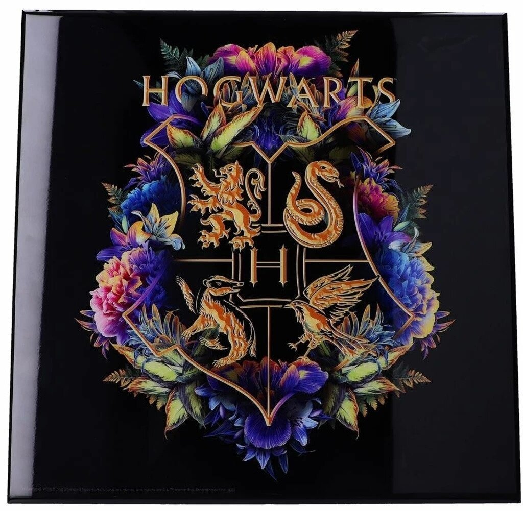 Obraz Harry Potter - Hogwarts Fine Oddities Crystal Clear Art Pictures (32x32) - 0801269143671