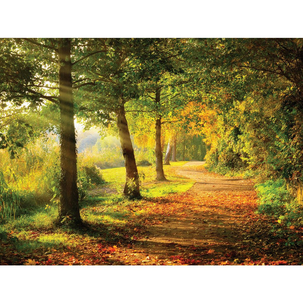 OBRAZ NA PLÁTNĚ, stromy, 30/40 cm