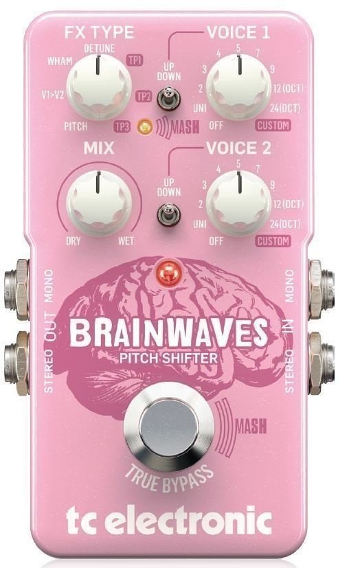 TC Electronic Brainwaves