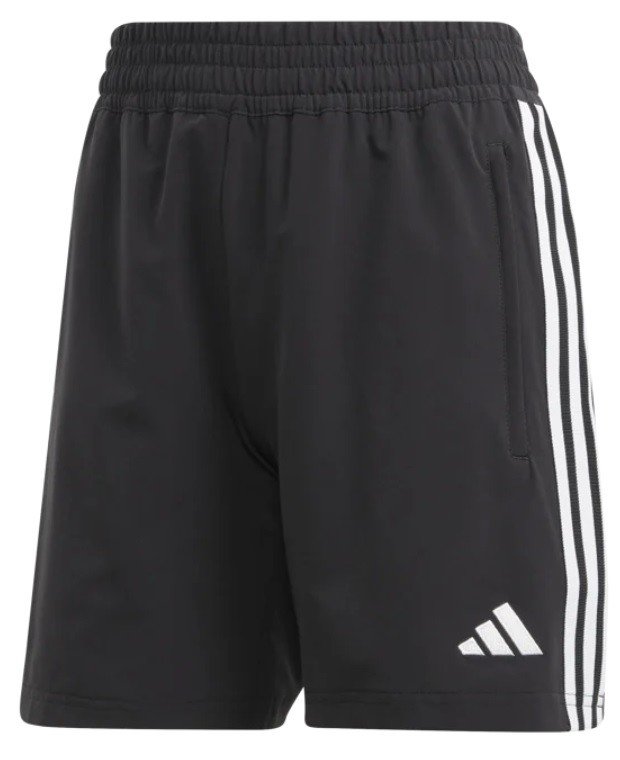 Šortky adidas TIRO 23 C DT SHW