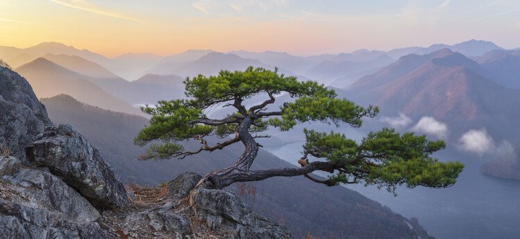 Jaeyoun Ryu Umělecká fotografie When the Day Breaks, Jaeyoun Ryu, (50 x 23 cm)