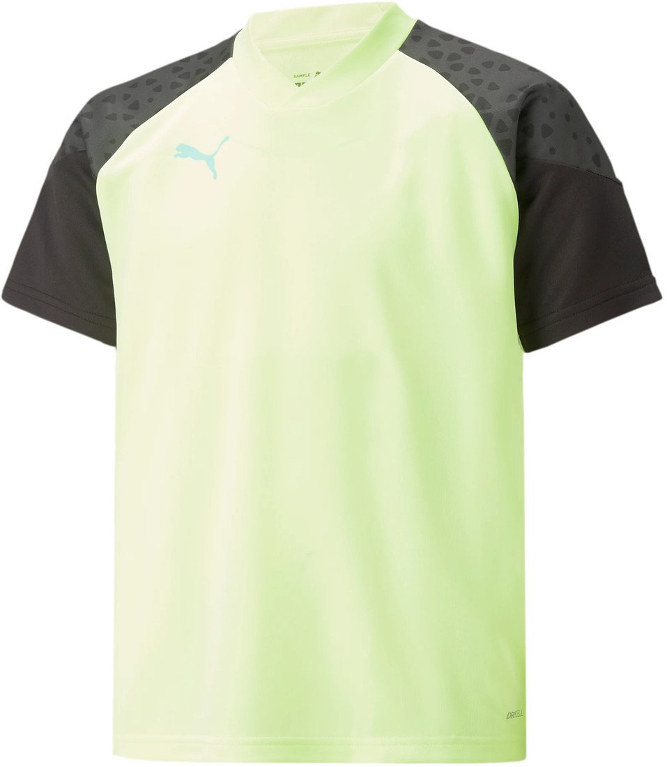 Dres Puma individualCUP Training Jersey Junior