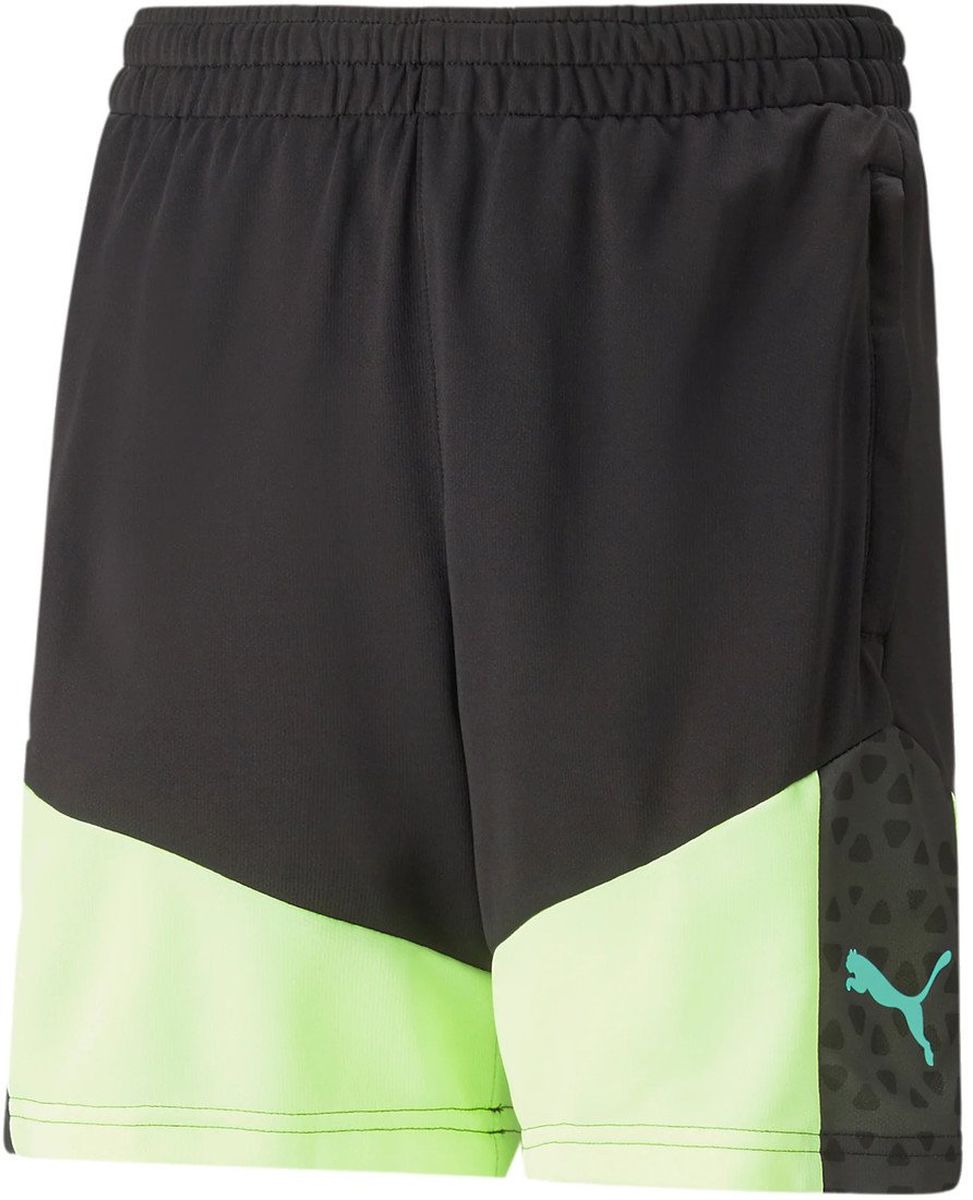 Šortky Puma individualCUP Training Shorts Junior