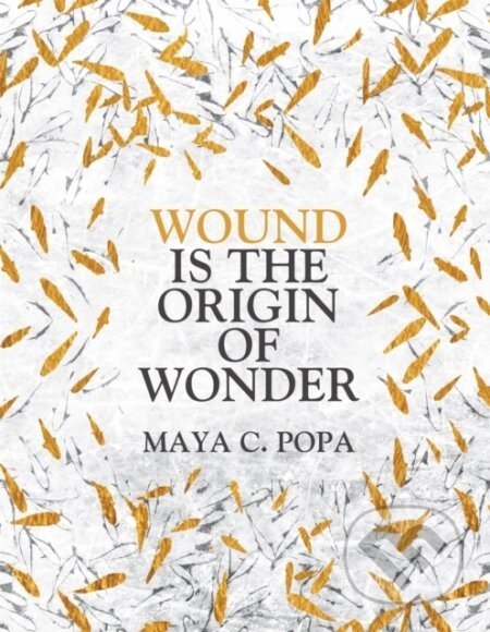 Wound is the Origin of Wonder - Maya C. Popa