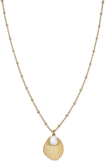 Rosefield Pozlacený ocelový náhrdelník s mušlí Amber JSPNG-J159