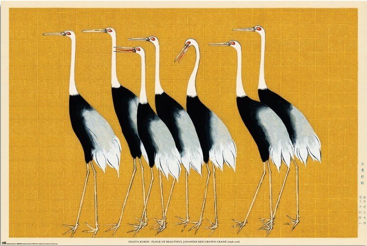 GRUPO ERIK Plakát, Obraz - Ogata Korin - Flock of Beatiful Japanese Red Crown Crane, (91.5 x 61 cm)