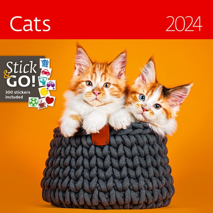 HELMA 365 Kalendář 2024 Kočky