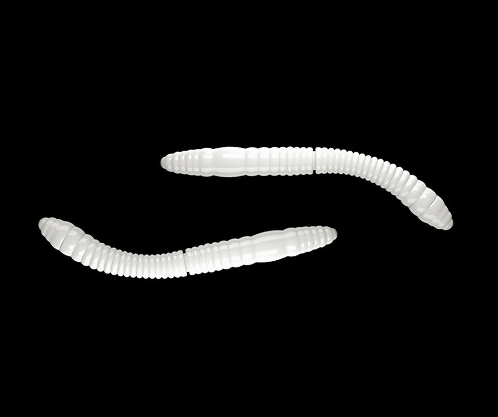 Libra Lures Fatty D’Worm Silver Pearl - D’Worm 6,5cm 10ks