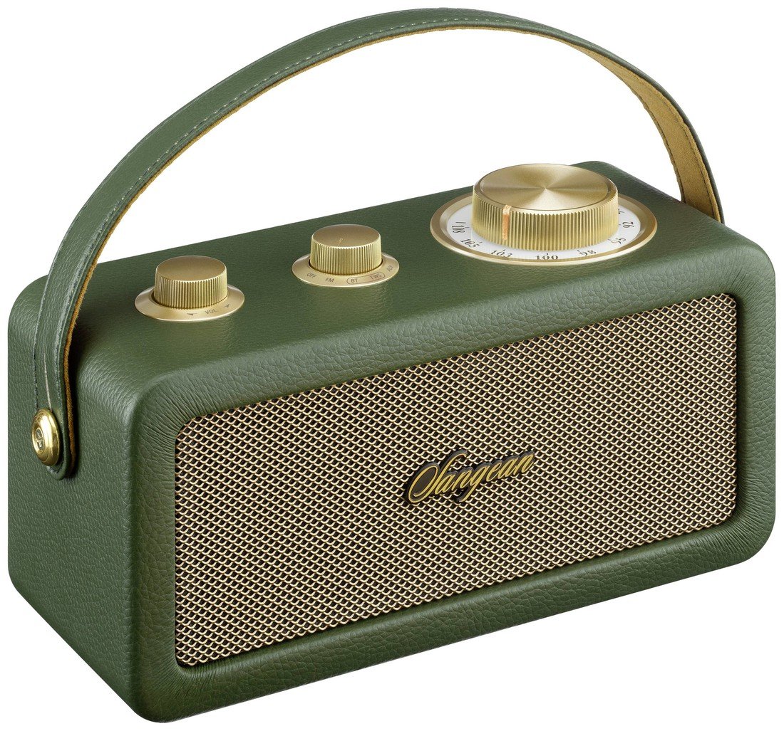 Sangean RA-101 Akumulátorové rádio FM Bluetooth, AUX s akumulátorem zelená, zlatá