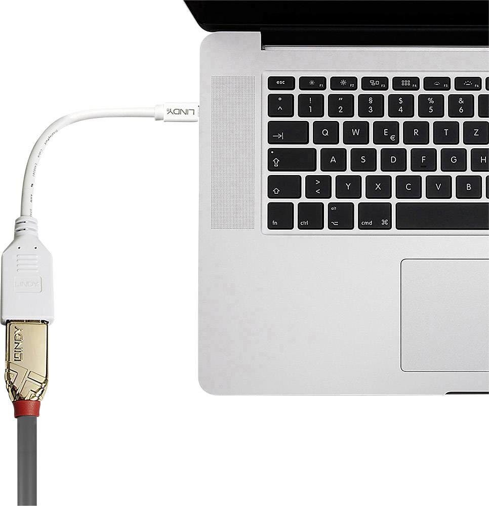 LINDY 41021 DisplayPort / Mini-DisplayPort  kabelový adaptér [1x zásuvka DisplayPort - 1x mini DisplayPort zástrčka] bílá  15.00 cm