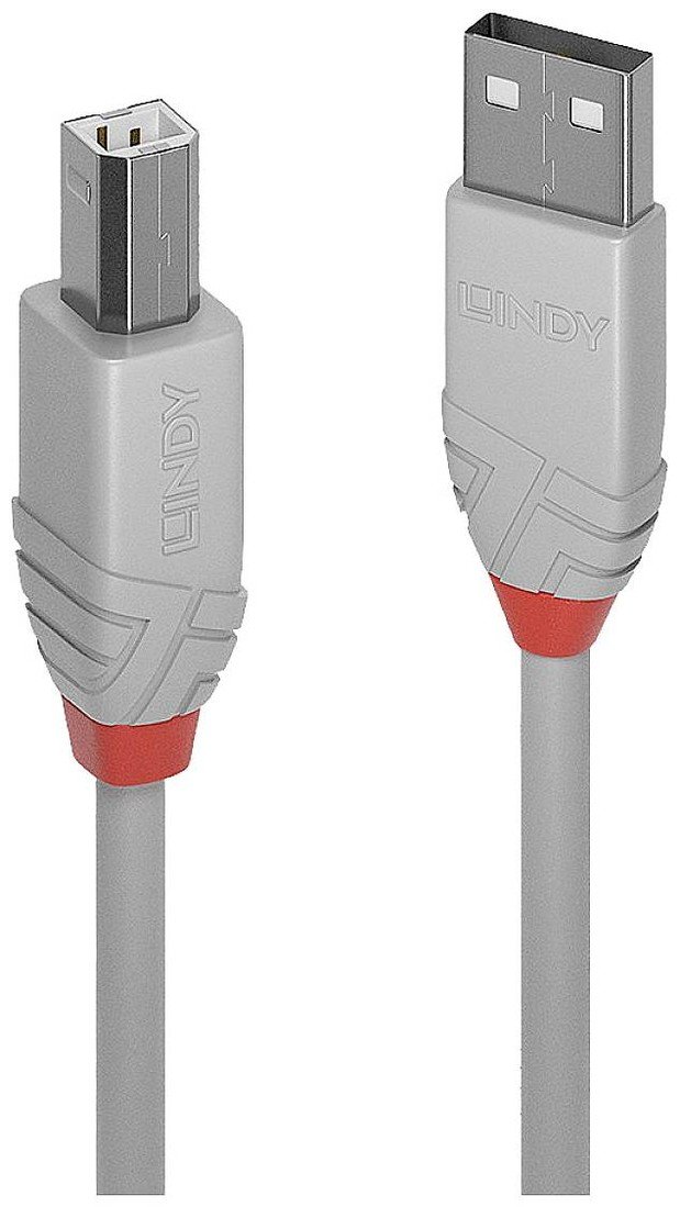 LINDY USB kabel USB 2.0 USB-A zástrčka, USB-B zástrčka 5.00 m šedá  36685