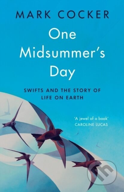 One Midsummer's Day - Mark Cocker