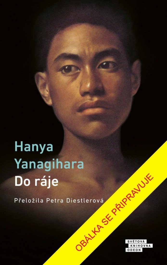 Do ráje - Hanya Yanagihara