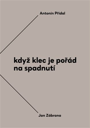 Když klec je pořád na spadnutí - Vzájemná korespondence Antonína Přidala a Jana Zábrany z let 1963-1984 - Antonín Přidal