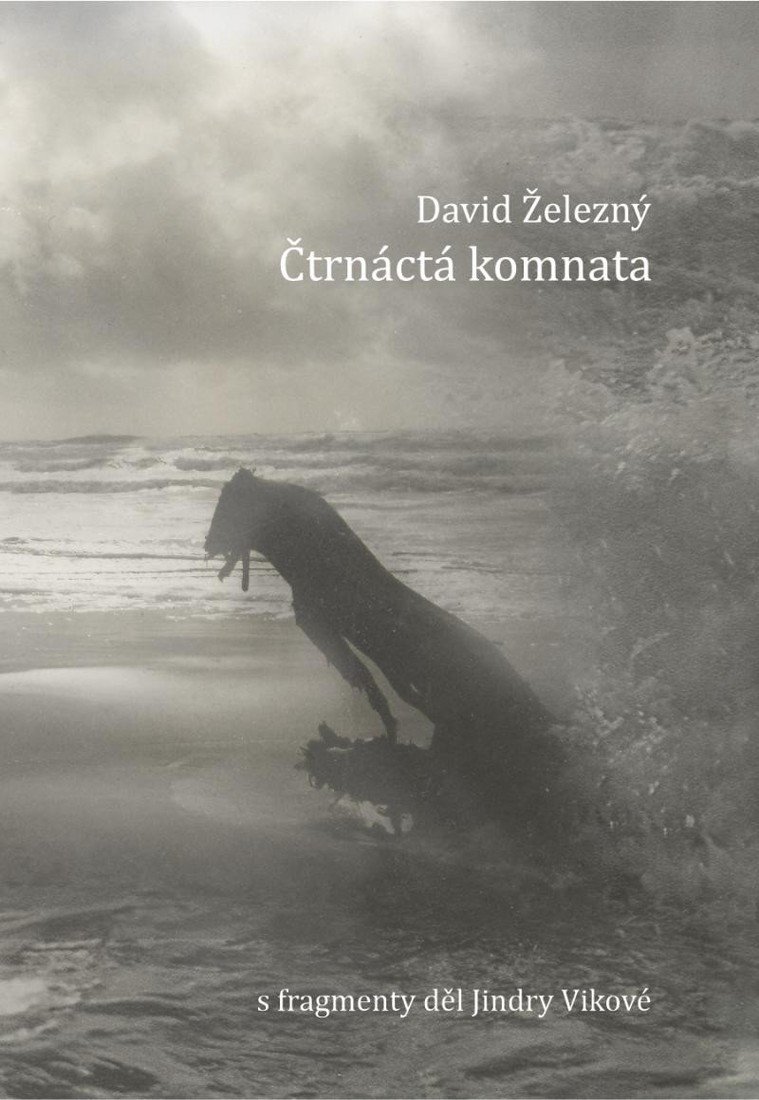 Čtrnáctá komnata - David Železný