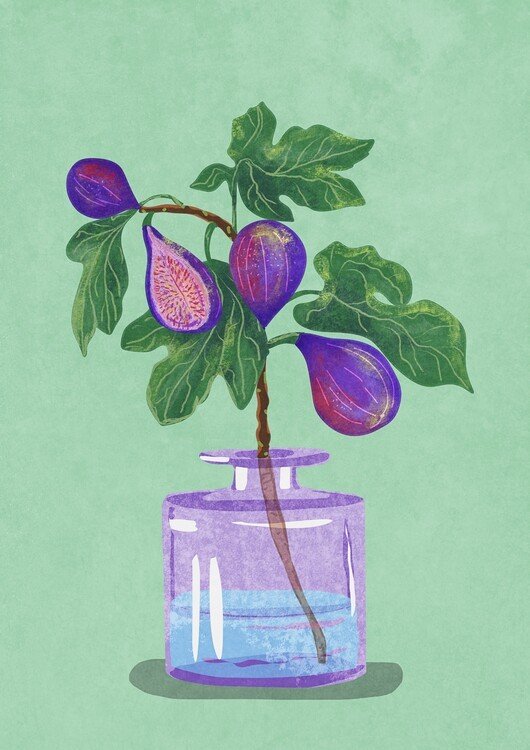 Raissa Oltmanns Ilustrace Figs Branch In Vase, Raissa Oltmanns, (30 x 40 cm)
