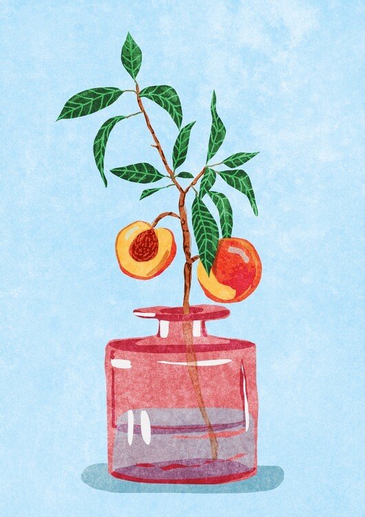 Raissa Oltmanns Ilustrace Peach Tree in Vase, Raissa Oltmanns, (30 x 40 cm)