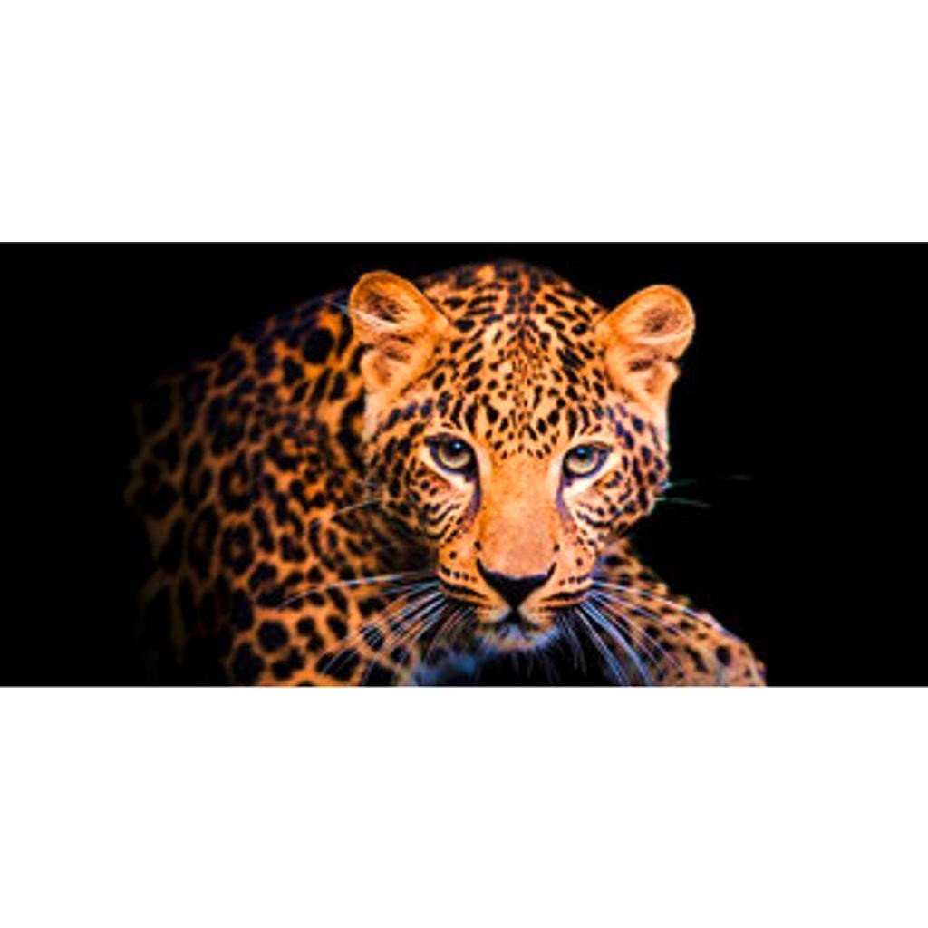 OBRAZ NA PLÁTNĚ, zvířata, 115/55/3 cm