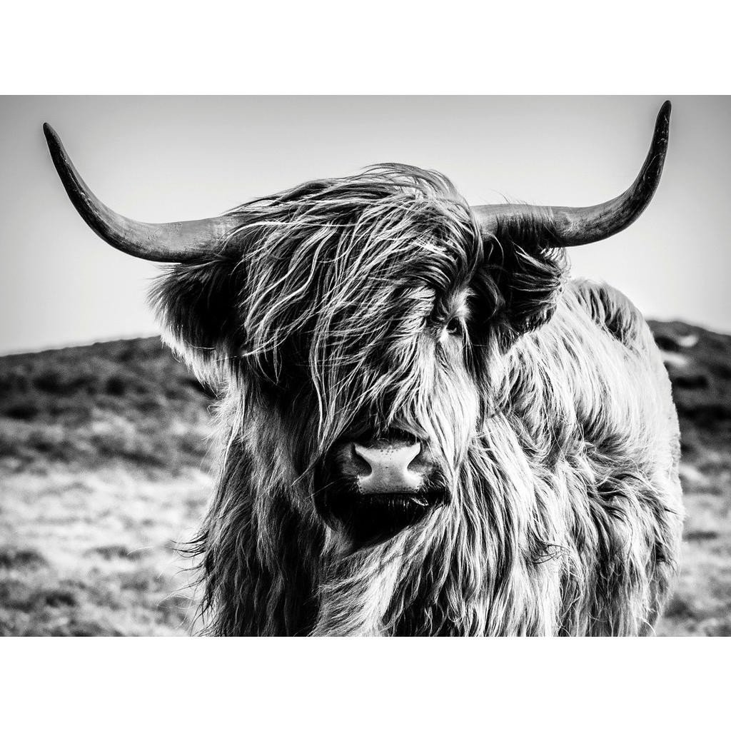 OBRAZ NA PLÁTNĚ, pláž & moře, 135/100/3 cm