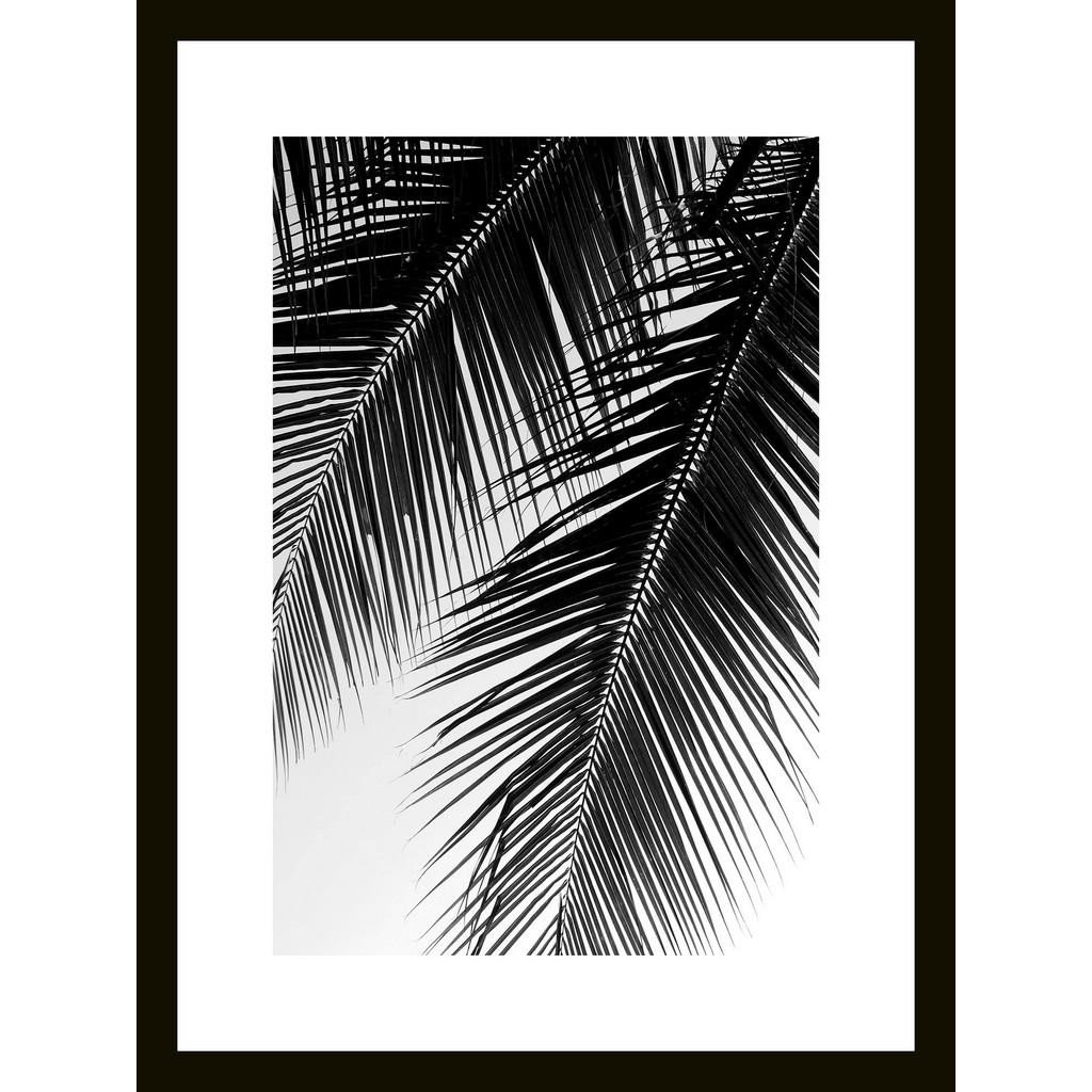 OBRAZ NA SKLE, rostliny, 30/40/1,40 cm