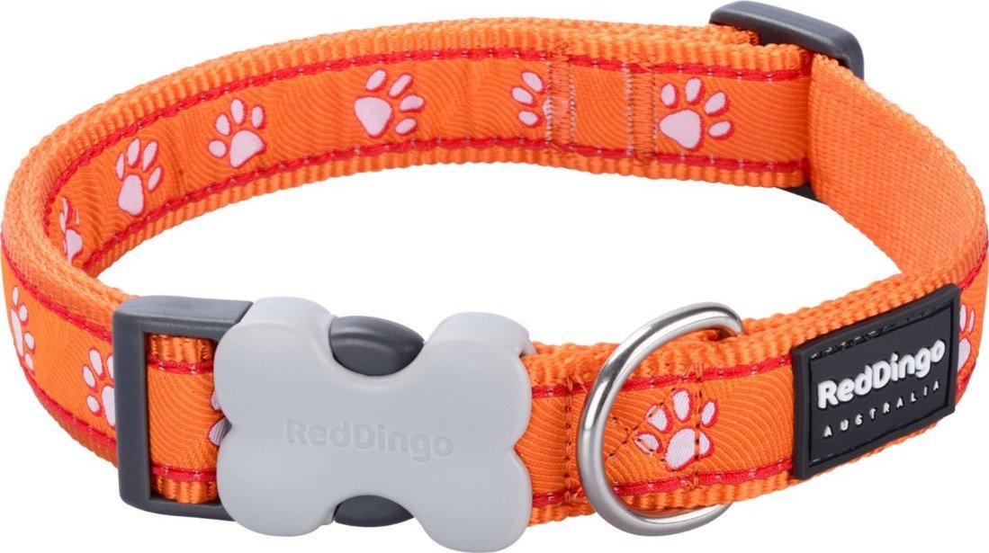 Obojek RD DESERT PAWS ORANGE - 1,2/20-32cm