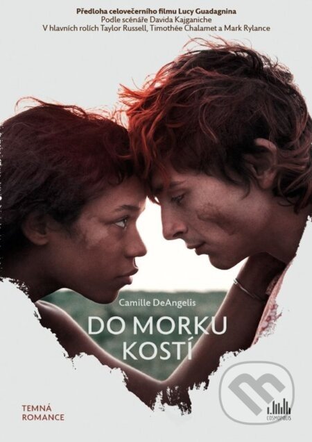 Do morku kostí - Camille DeAngelis