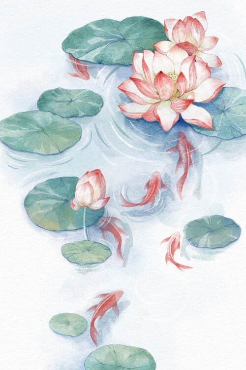 Xuan Thai Ilustrace Lotus Pond Water Color home, Xuan Thai, (26.7 x 40 cm)
