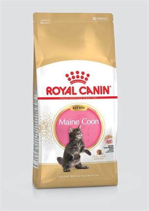 RC-FHN Kitten Maine Coon 10kg