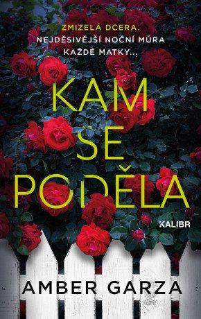 Kam se poděla - Amber Garza - e-kniha