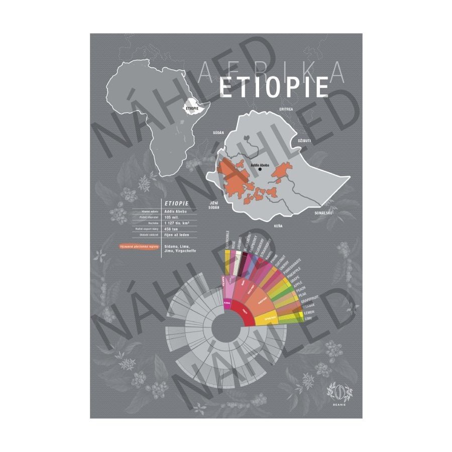 Beanie Etiopie – plakát A4