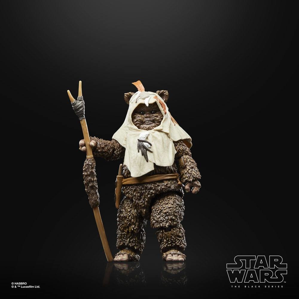 Hasbro | Star Wars Episode VI - sběratelská figurka Paploo 40th Anniversary (Black Series) 15 cm