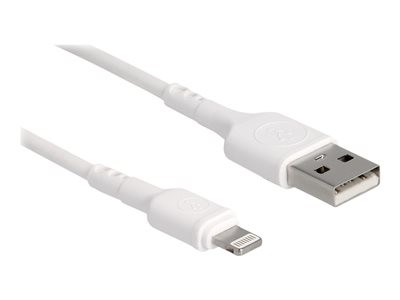 Delock - Kabel Lightning - USB s piny (male) do Lightning s piny (male) - 30 cm - bílá - pro Apple 10.2-inch iPad; AirPods Max; AirPods Pro; iPhone 11, 12, 13, SE