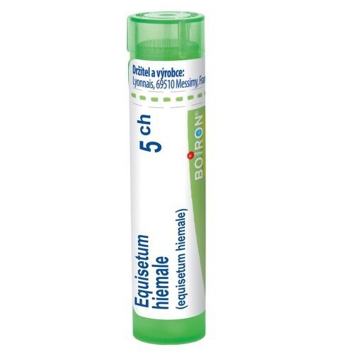 EQUISETUM HIEMALE 5CH granule 1x4G