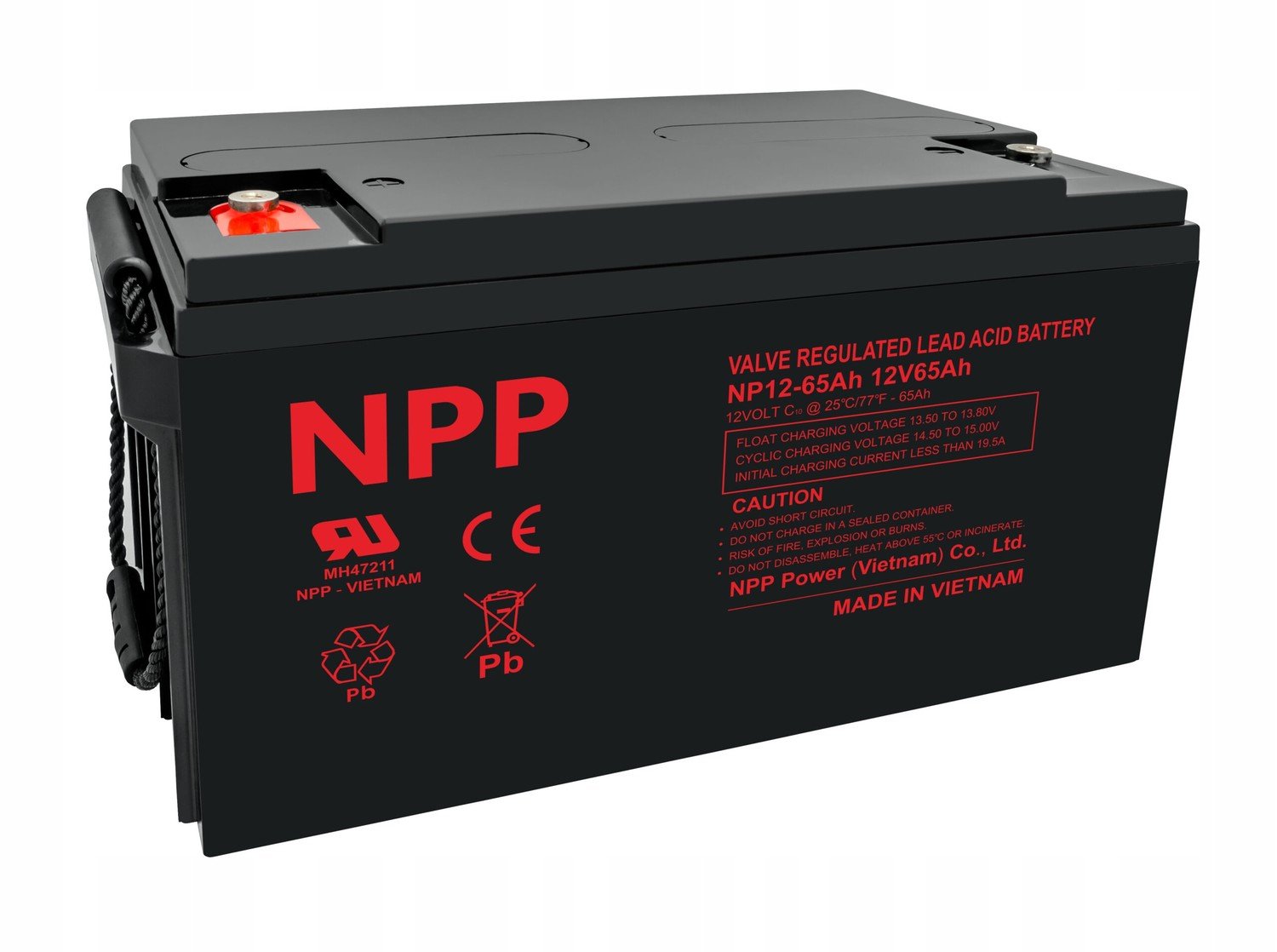 Agm baterie Np 12V 65Ah T14 Npp